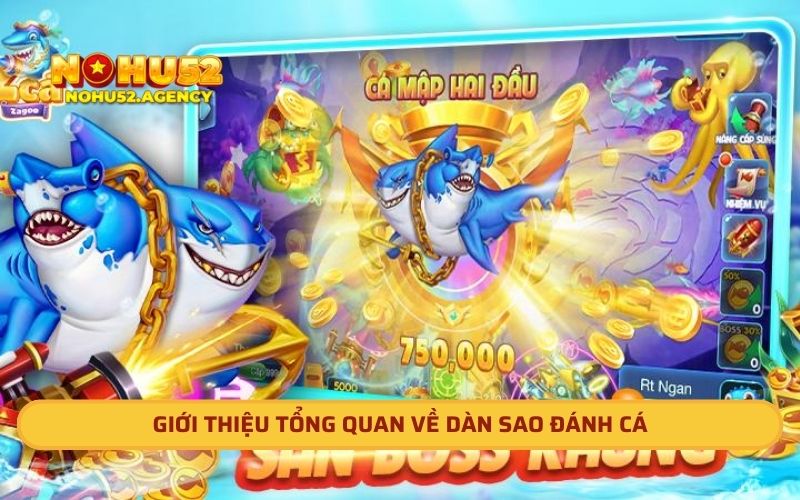 Giới thiệu tổng quan về dàn sao đánh cá