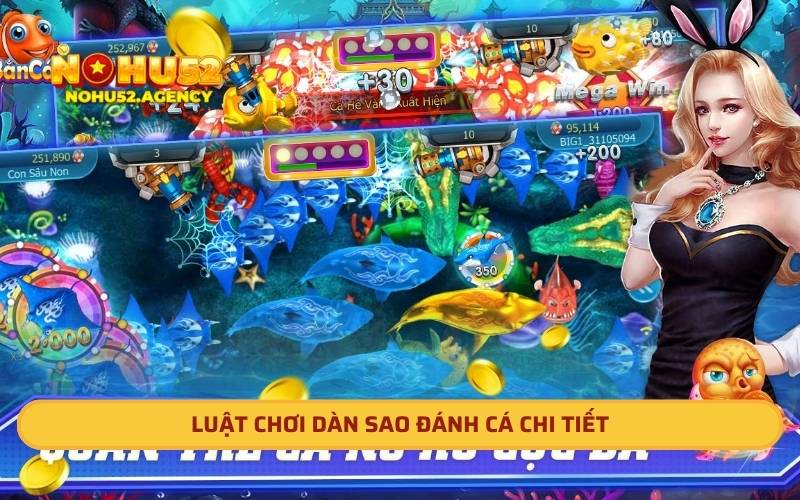 Luật chơi dàn sao đánh cá chi tiết